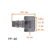 PF 40 วัดไซต์